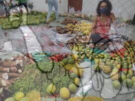 [Título n/d] : lote nº 002, pasta nº 001351, doc. nº 000310 [imagem] / Fotógrafo(a) : [autoria n/d].