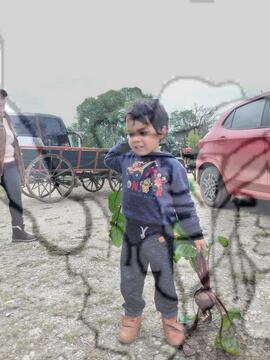 [Título n/d] : lote nº 002, pasta nº 000025, doc. nº 000010 [imagem] / Fotógrafo(a) : [autoria n/d].