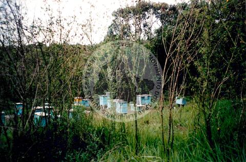 Original Document numérique not accessible