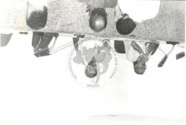 Luís Inácio Lula da Silva (Brasil, [sem data]) [fotografia] / Fotógrafo(a) : Arquivo MST ; Carlos Carvalho ; Clóvis Ferreira ; Douglas Mansur ; Olivio Lamas ; Volnei Malfoy ; Regina Vilela ; Folha Imagem ; . -- Ref.: BR-SPMST_MST-SN-CIN_AMP_001623-012318-PER.