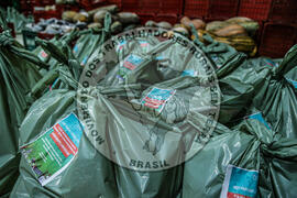 [Título n/d] : lote nº 002, pasta nº 001344, doc. nº 000015 [imagem] / Fotógrafo(a) : [autoria n/d].