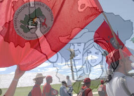 [Título n/d] : lote nº 002, pasta nº 000043, doc. nº 000091 [imagem] / Fotógrafo(a) : [autoria n/d].