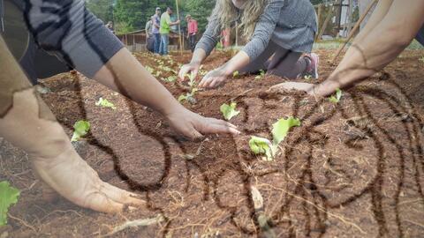 Original Objeto digital not accessible