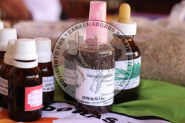 [Título n/d] : lote nº 002, pasta nº 001316, doc. nº 000113 [imagem] / Fotógrafo(a) : [autoria n/d].