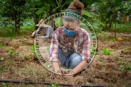 [Título n/d] : lote nº 002, pasta nº 001317, doc. nº 000038 [imagem] / Fotógrafo(a) : [autoria n/d].