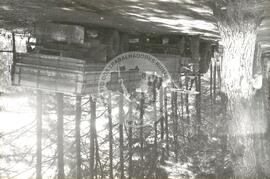 Produção em Minas Gerais (Minas Gerais, [sem data]) [fotografia] / Fotógrafo(a) : Neiva Alves. -- Ref.: BR-SPMST_MST-SN-CIN_AMP_001977-015168-PDU.