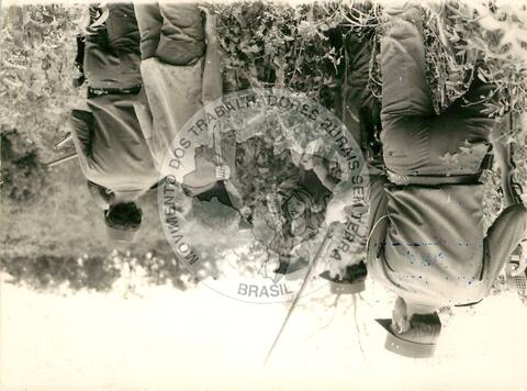 Original Document numérique not accessible