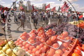 [Título n/d] : lote nº 002, pasta nº 000044, doc. nº 000373 [imagem] / Fotógrafo(a) : [autoria n/d].