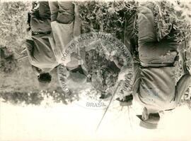 Despejo na Giacomet e Marodim (Paraná, [sem data]) [fotografia] / Fotógrafo(a) : Lauro Beckers. -- Ref.: BR-SPMST_MST-SN-CIN_AMP_001753-012858-VPP.