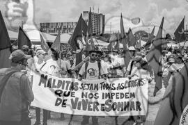 [Título n/d] : lote nº 002, pasta nº 001338, doc. nº 000025 [imagem] / Fotógrafo(a) : [autoria n/d].