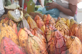 [Título n/d] : lote nº 002, pasta nº 001319, doc. nº 000103 [imagem] / Fotógrafo(a) : [autoria n/d].