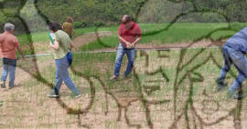 [Título n/d] : lote nº 002, pasta nº 001322, doc. nº 000025 [imagem] / Fotógrafo(a) : [autoria n/d].