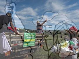 [Título n/d] : lote nº 002, pasta nº 001351, doc. nº 000182 [imagem] / Fotógrafo(a) : [autoria n/d].