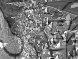 [Título n/d] : lote nº 002, pasta nº 000043, doc. nº 000176 [imagem] / Fotógrafo(a) : [autoria n/d].