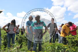 [Título n/d] : lote nº 002, pasta nº 001313, doc. nº 000349 [imagem] / Fotógrafo(a) : [autoria n/d].