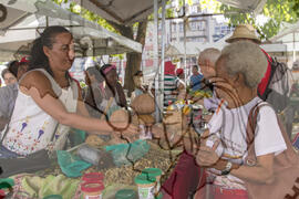 [Título n/d] : lote nº 002, pasta nº 001319, doc. nº 000086 [imagem] / Fotógrafo(a) : [autoria n/d].