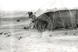 Província de Bengo (Angola, [sem data]) [fotografia] / Fotógrafo(a) : Arquivo MST. -- Ref.: BR-SPMST_MST-SN-CIN_AMP_001098-008998-RIT.