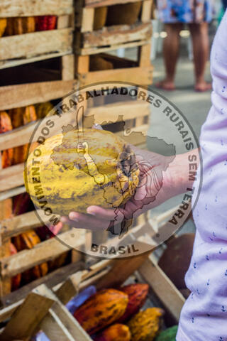 Original Objeto digital not accessible