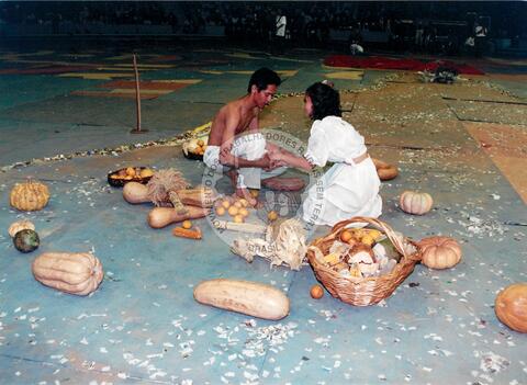 Original Objeto digital not accessible