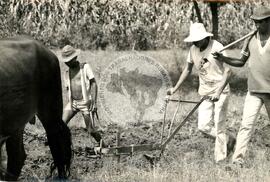 Assentamento "Atrol" do MST (Sergipe, 17 jun. 1986) [fotografia] / Fotógrafo(a) : Milton Soares. -- Ref.: BR-SPMST_MST-SN-CIN_AMP_000343-001638-ASS.