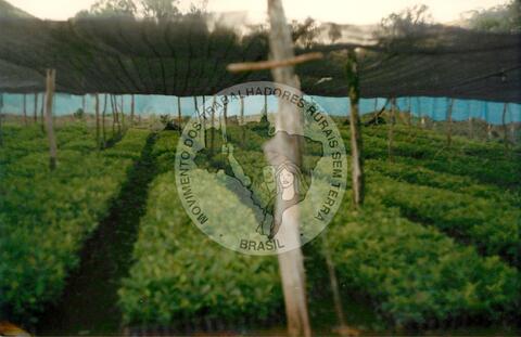 Original Document numérique not accessible