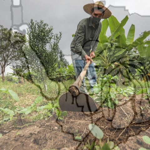 Original Objeto digital not accessible