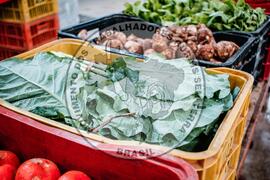 [Título n/d] : lote nº 002, pasta nº 001351, doc. nº 000485 [imagem] / Fotógrafo(a) : [autoria n/d].