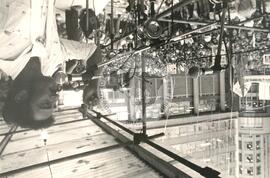 Adão Preto (Brasil, [sem data]) [fotografia] / Fotógrafo(a) : Arquivo MST ; Ednir Santos ; Débora Leher ; Otávio Praxedes ; Humberto Monteiro ; . -- Ref.: BR-SPMST_MST-SN-CIN_AMP_001434-011655-PER.