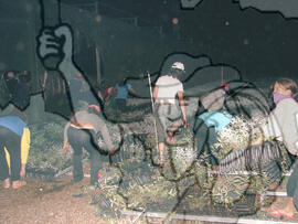 [Título n/d] : lote nº 002, pasta nº 000048, doc. nº 000009 [imagem] / Fotógrafo(a) : [autoria n/d].