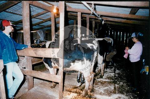 Original Digitaal object not accessible