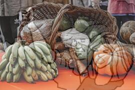 [Título n/d] : lote nº 002, pasta nº 001351, doc. nº 000346 [imagem] / Fotógrafo(a) : [autoria n/d].