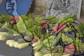 [Título n/d] : lote nº 002, pasta nº 001351, doc. nº 000153 [imagem] / Fotógrafo(a) : [autoria n/d].