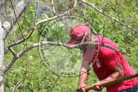 [Título n/d] : lote nº 002, pasta nº 000014, doc. nº 000222 [imagem] / Fotógrafo(a) : [autoria n/d].