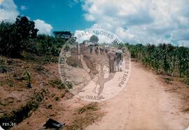 Família assentada assentamento do MST [ sem identificação] (Espírito Santo, fev. 1988) [fotografia] / Fotógrafo(a) : Arquivo MST. -- Ref.: BR-SPMST_MST-SN-CIN_AMP_000325-001577-ASS.