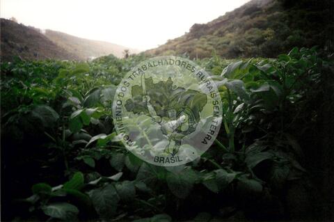 Original Digitaal object not accessible