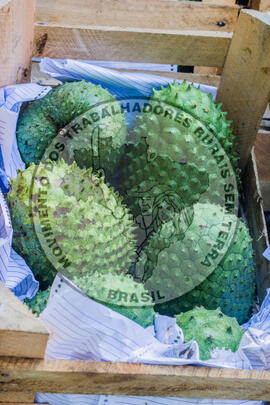 [Título n/d] : lote nº 002, pasta nº 001319, doc. nº 000110 [imagem] / Fotógrafo(a) : [autoria n/d].