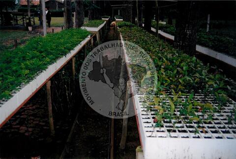 Original Document numérique not accessible