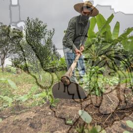 [Título n/d] : lote nº 002, pasta nº 001319, doc. nº 000144 [imagem] / Fotógrafo(a) : [autoria n/d].