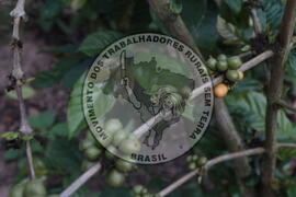 [Título n/d] : lote nº 002, pasta nº 001313, doc. nº 000022 [imagem] / Fotógrafo(a) : [autoria n/d].