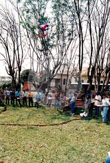 Original Objeto digital not accessible