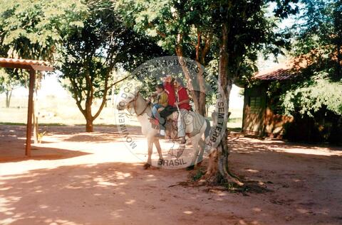 Original Objeto digital not accessible