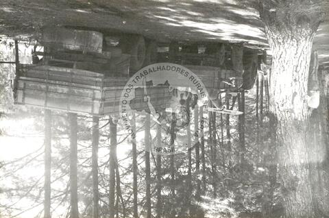 Original Digitaal object not accessible