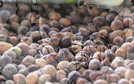 [Título n/d] : lote nº 002, pasta nº 001319, doc. nº 000038 [imagem] / Fotógrafo(a) : [autoria n/d].