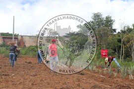 [Título n/d] : lote nº 002, pasta nº 000014, doc. nº 000194 [imagem] / Fotógrafo(a) : [autoria n/d].