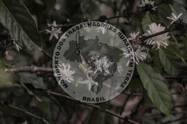 [Título n/d] : lote nº 002, pasta nº 001314, doc. nº 000021 [imagem] / Fotógrafo(a) : [autoria n/d].