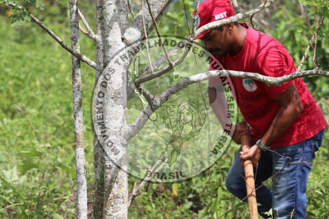 Original Objeto digital not accessible