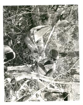 Despejos e Violências (Tocantins, [sem data]) [fotografia] / Fotógrafo(a) : Arquivo MST ; João Ripper ; Ricardo Funari ; [sem autoria]. -- Ref.: BR-SPMST_MST-SN-CIN_AMP_001807-013023-VPP.