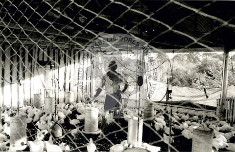 Original Objeto digital not accessible