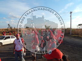 [Título n/d] : lote nº 002, pasta nº 000150, doc. nº 000005 [imagem] / Fotógrafo(a) : [autoria n/d].