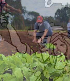 [Título n/d] : lote nº 002, pasta nº 001319, doc. nº 000174 [imagem] / Fotógrafo(a) : [autoria n/d].